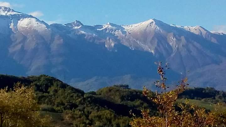 facebook_1509362383297