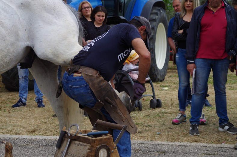 farrier at work