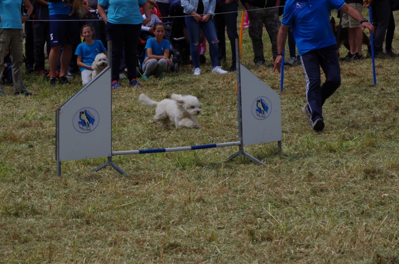 like a speeding bullet