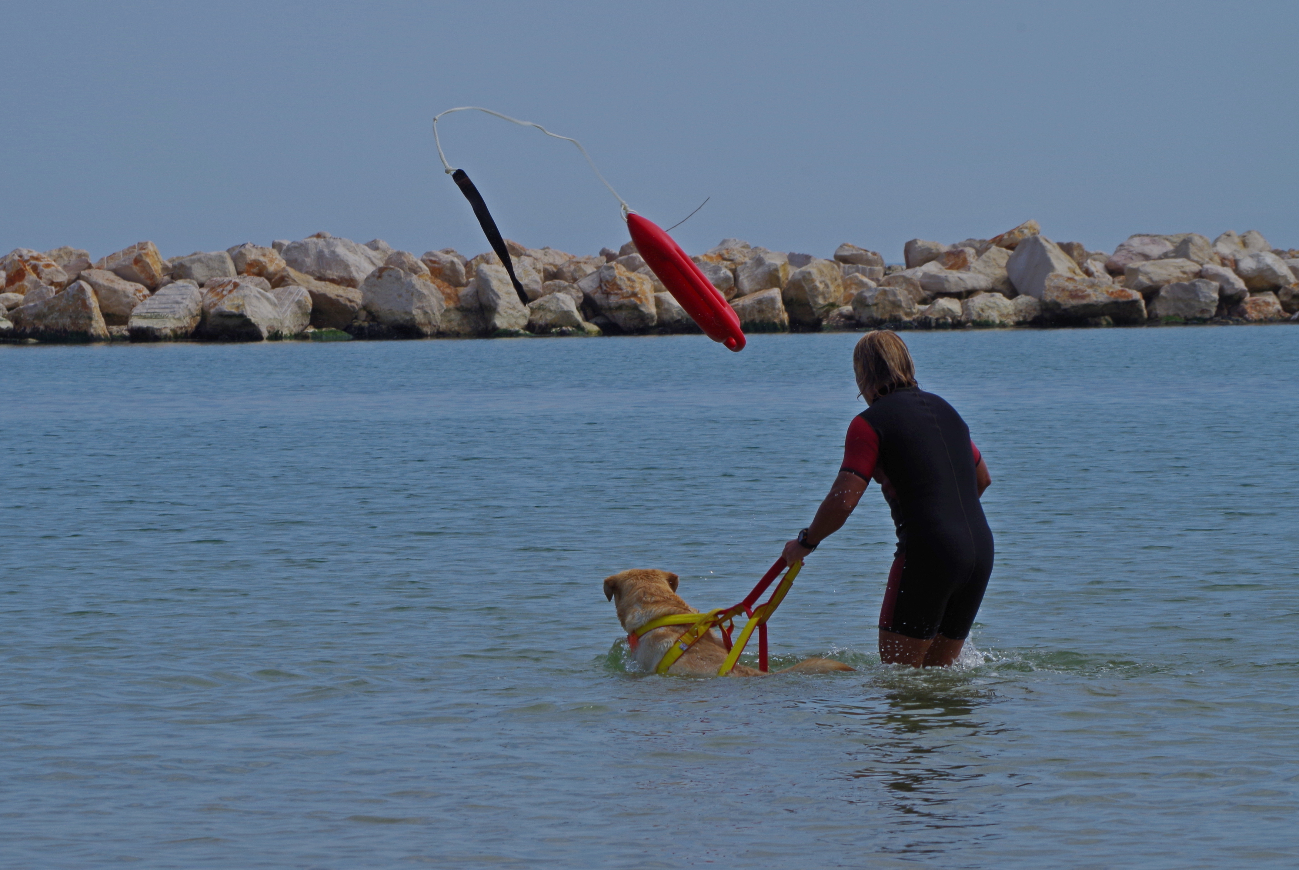 Marco throwing baywatch