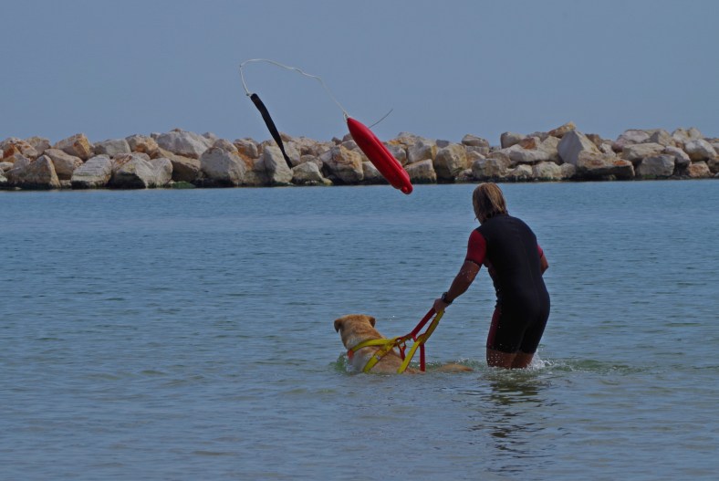 Marco throwing baywatch