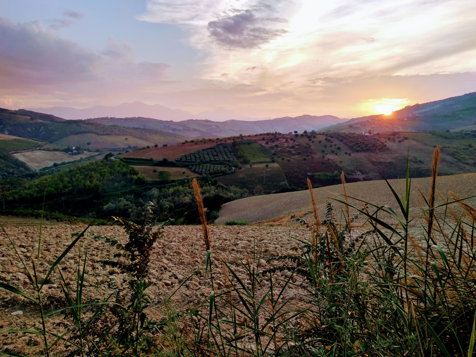 farewell to Trecimineire