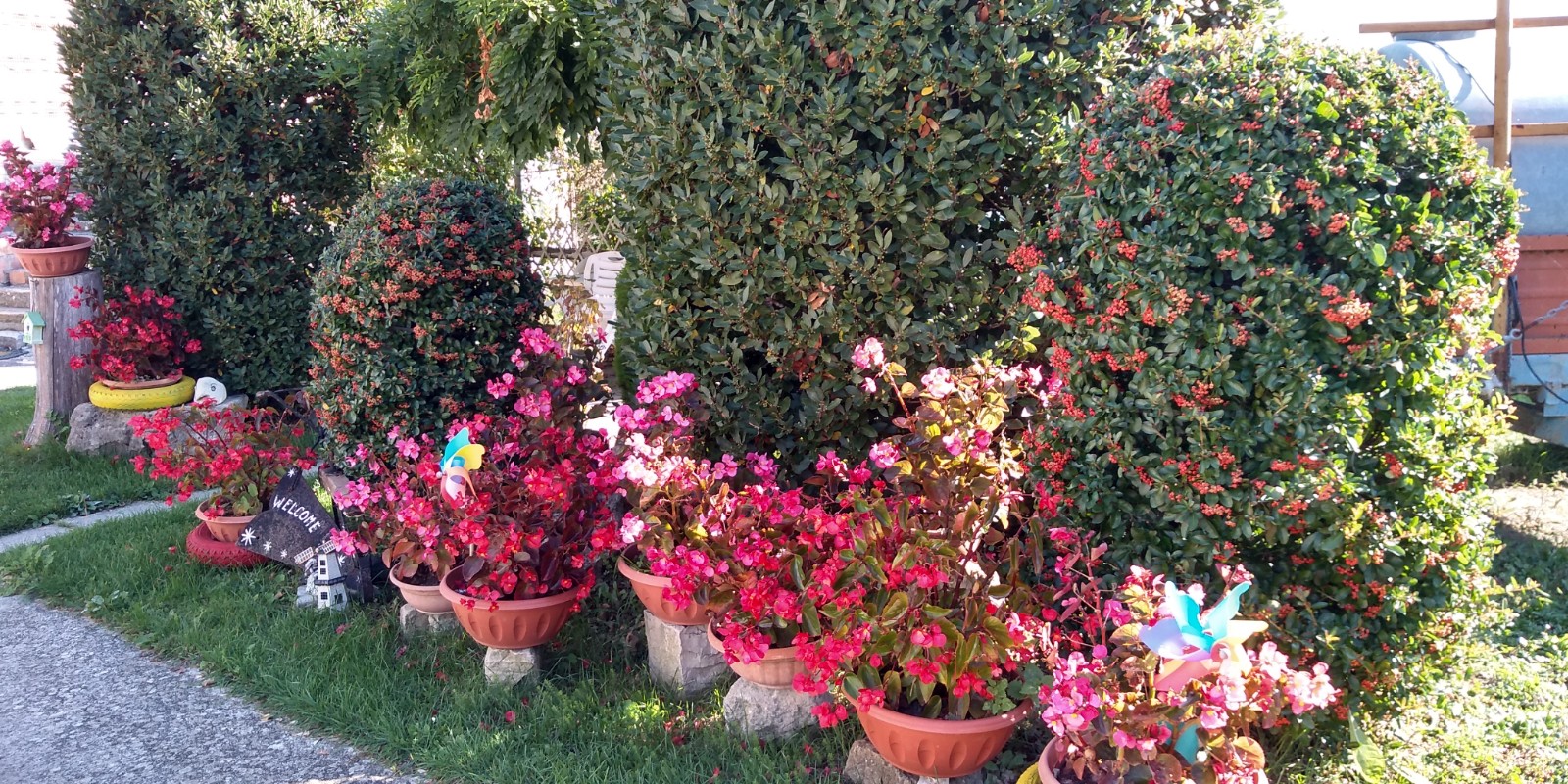 IMG_20181013_101217156_HDR