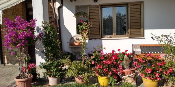 IMG_20181013_101243727_HDR