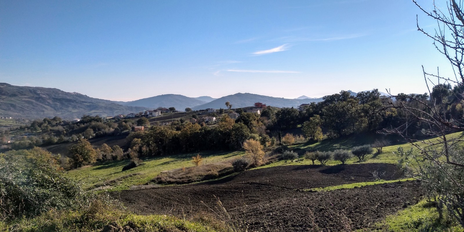 looking toward Liscia