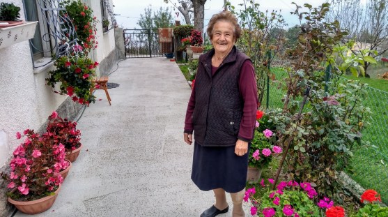 lovely neighbor &amp; garden