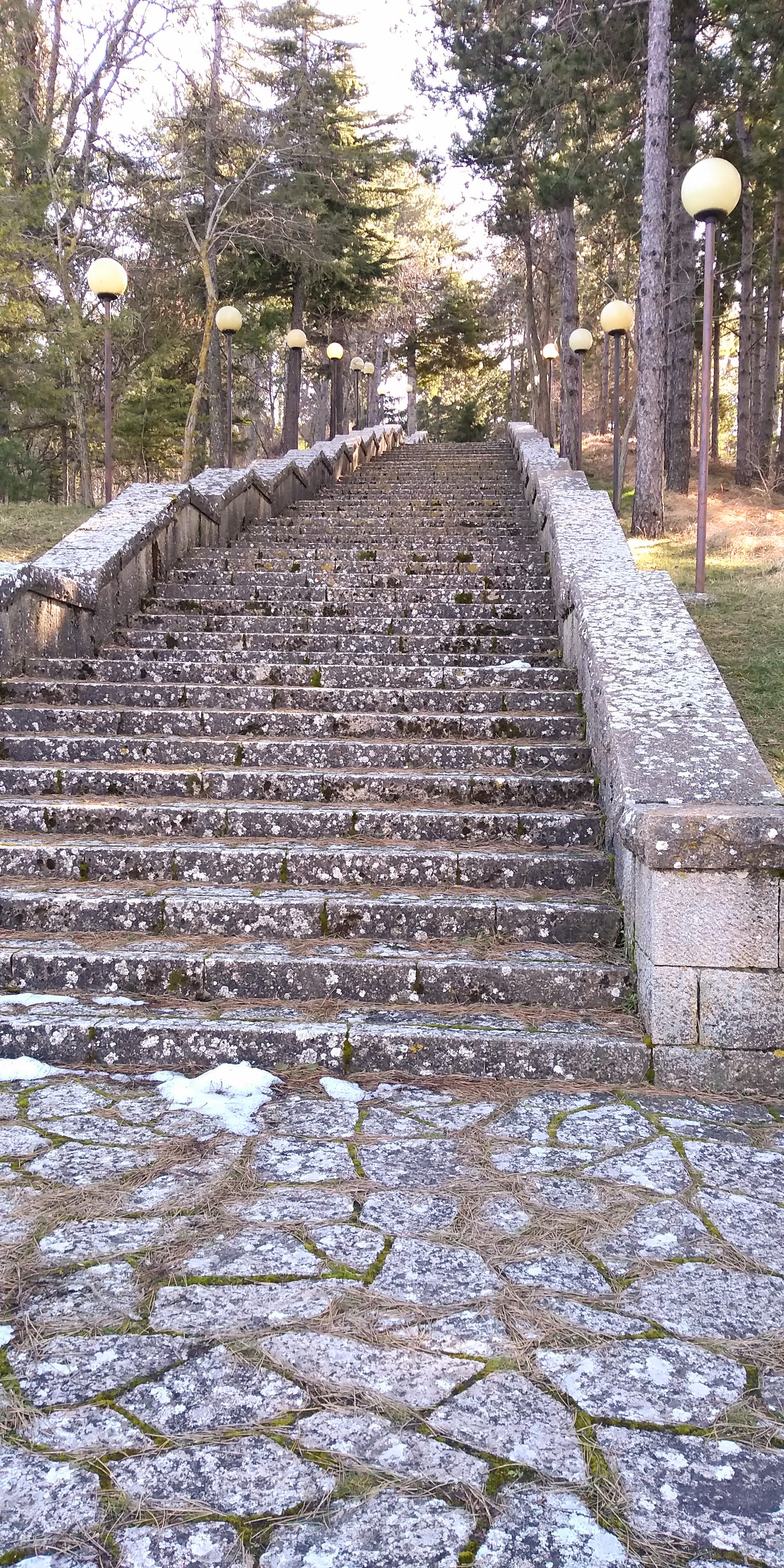 park steps