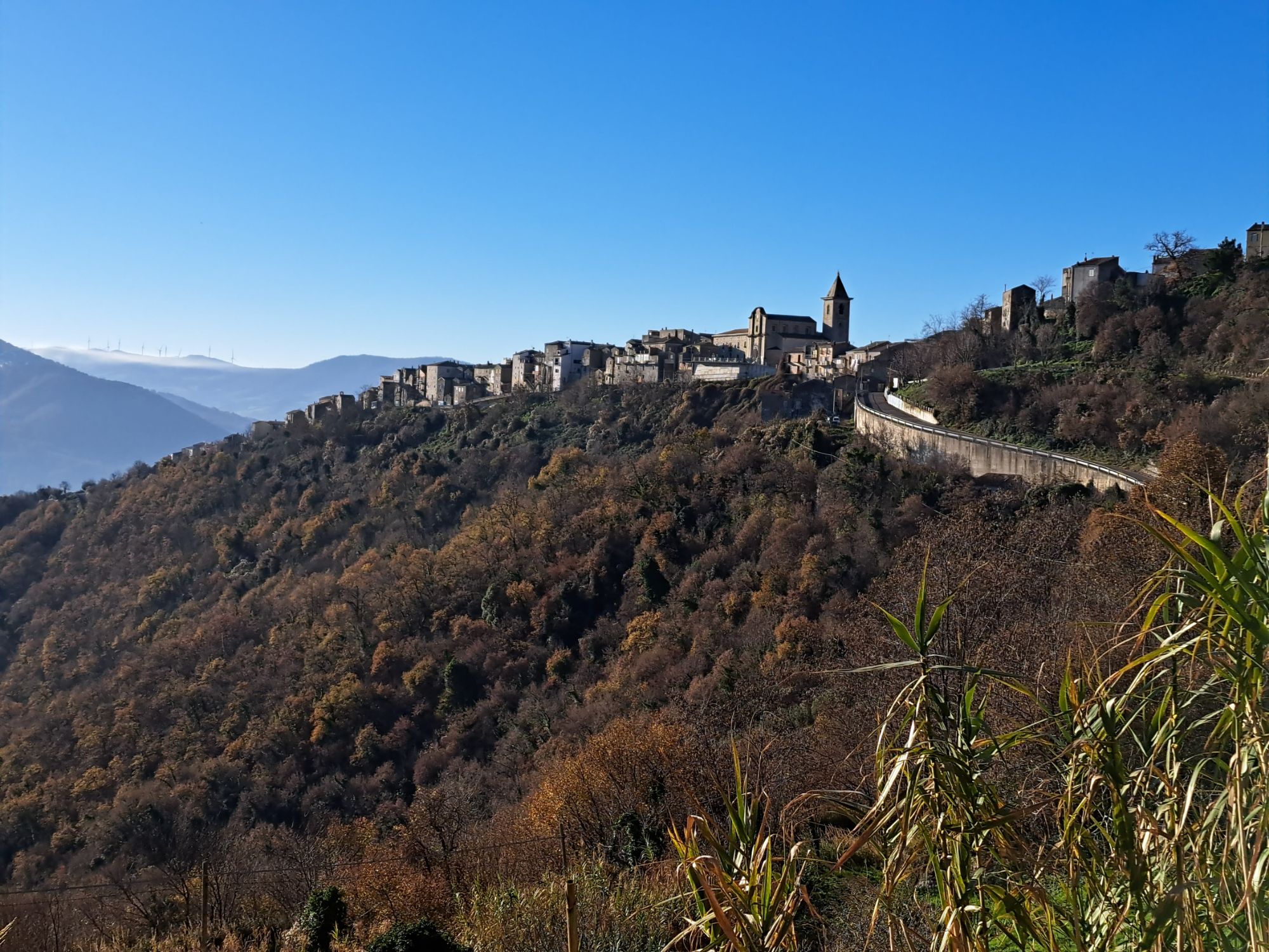 img_20230101_093037_1565733782065046675775