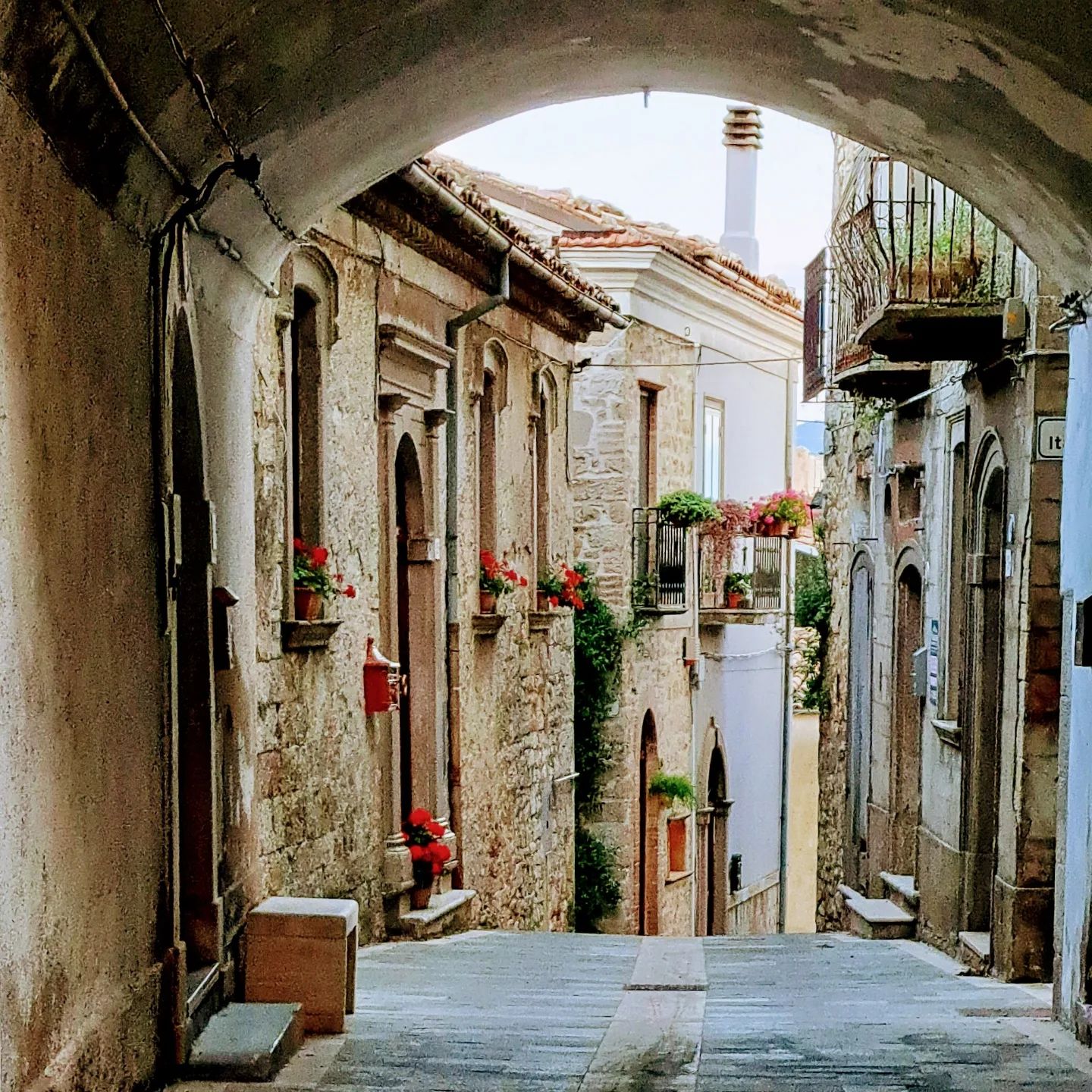 img_20230624_210037_3885545696949157945443